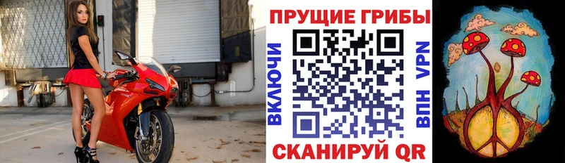 Псилоцибиновые грибы ЛСД  Новочебоксарск 